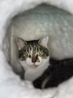 /album/27-10-2025/afbeelding-van-whatsapp-op-2025-10-26-om-14-23-18-f04c3820-jpg/